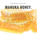 Wild Ferns-Manuka Honey Gift Box 4pc 