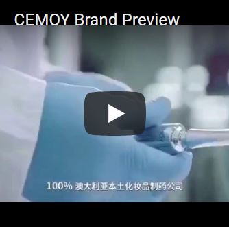 CEMOY Brand Preview