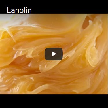 What is Lanolin